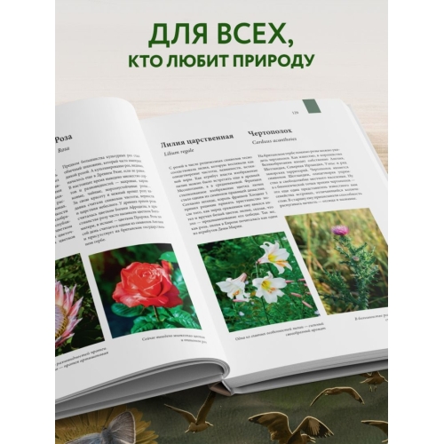 Атлас Земли. Животные, Растения, Грибы, Бактерии, Минералы И Другие Сокровища Нашей Планеты