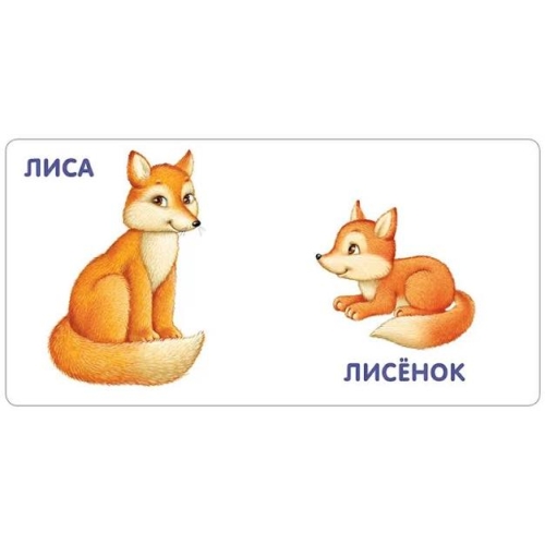 Книжки - Картонки. Животные И Детёныши (10216170/290619/0115364 Китай)