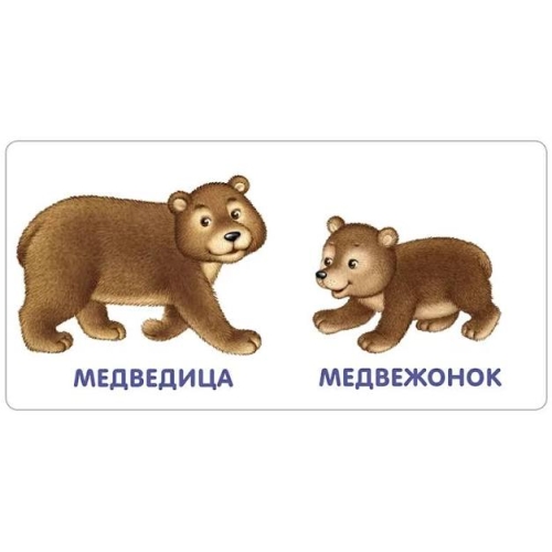 Книжки - Картонки. Животные И Детёныши (10216170/290619/0115364 Китай)