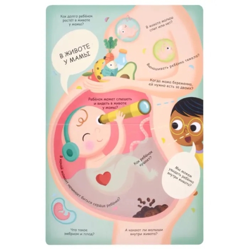 Волшебные Окошки. Откуда Берутся Дети?