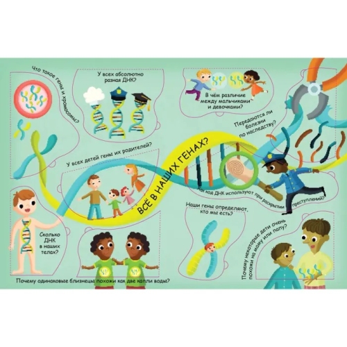 Волшебные Окошки. Откуда Берутся Дети?