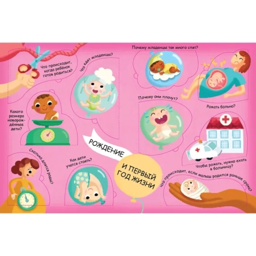 Волшебные Окошки. Откуда Берутся Дети?