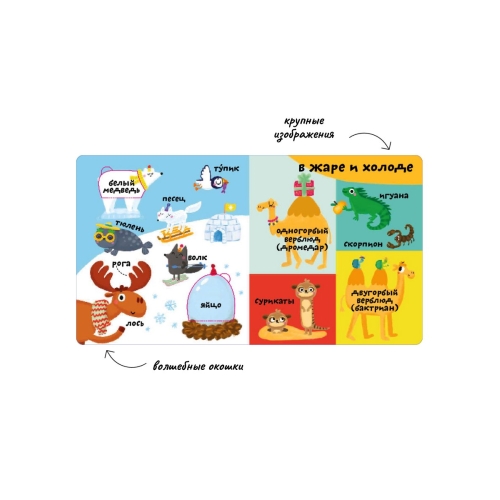 Мои Первые 100 Слов С Окошками. Такие Разные Животные