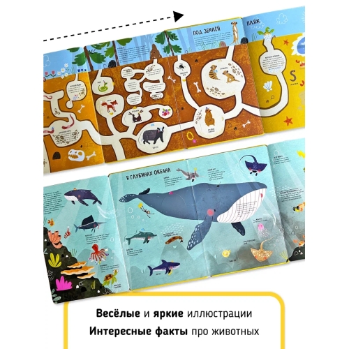 Книга. Мои Первые Открытия– Животные