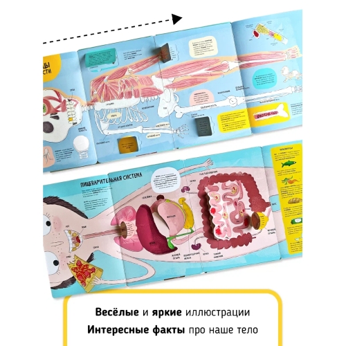 Книга. Мои Первые Открытия– Человеческое Тело