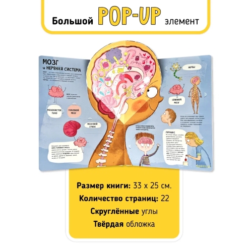 Книга. Мои Первые Открытия– Человеческое Тело