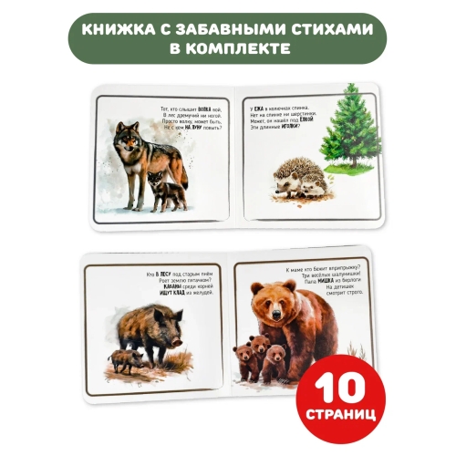 Животные В Лесу. Тактильные Пазлы