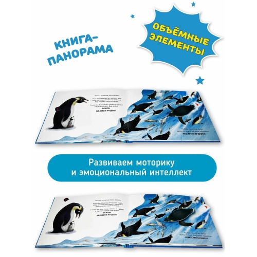 Дуду Приключения Маленького Пингвина. Книга С Интерактивными Элементами