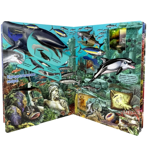 Энциклопедия С Окошками (Цк) Что Там, Под Водой?