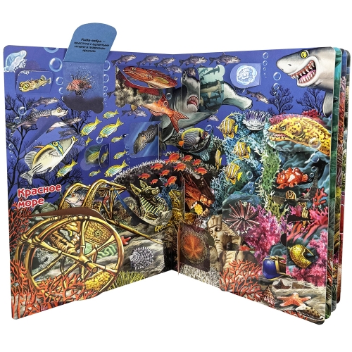 Энциклопедия С Окошками (Цк) Что Там, Под Водой?