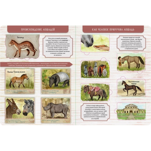 Энциклопедия С Окошками (Цк) Моя Первая Книга О Лошадях