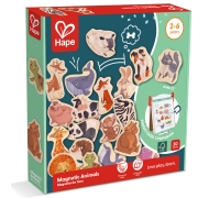 Игровой Магнитный Набор 