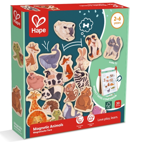 Игровой Магнитный Набор 