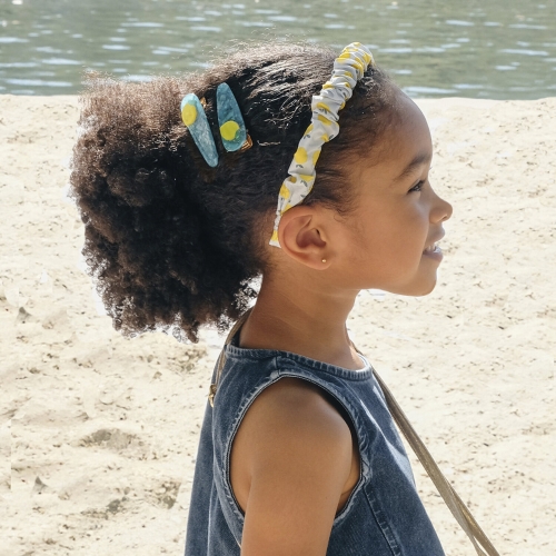 Lemon Drop Acrylic Clips