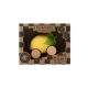 Lou The Lemon Car, 0+ Мес., Арт. L-Lemon-Car