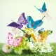 Mideer Fantasy Butterfly Garden