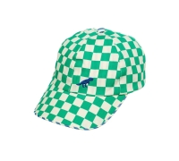 Dinosaur Check Cap 7-10 Years